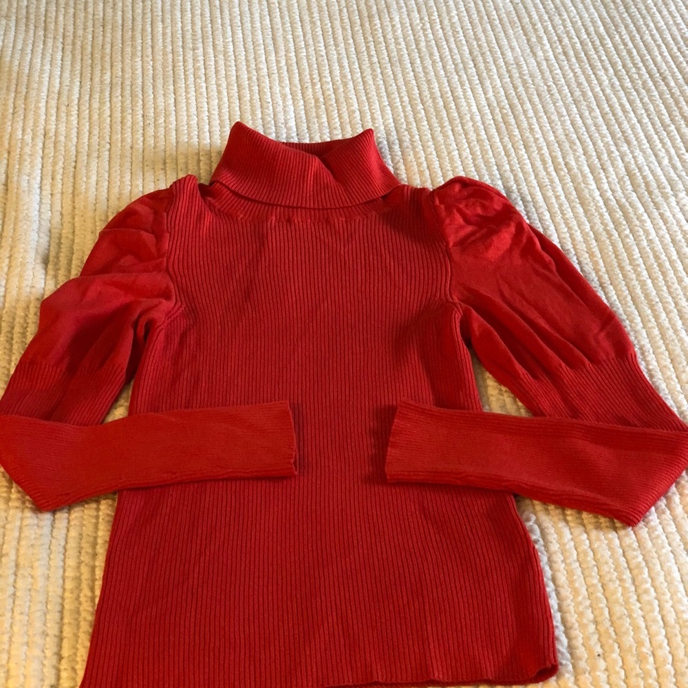 Anthropology puffed sleeve turtle neck